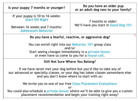 Dog Reactivity Chart